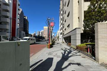 敷地の南西側前面道路（南東側から）