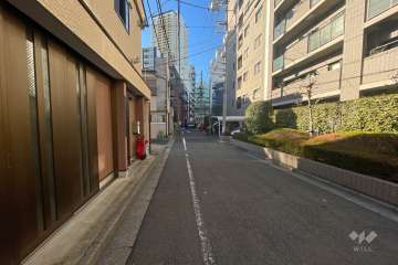 敷地の東側前面道路（北側から）