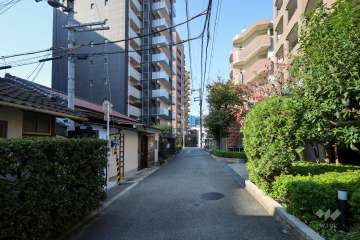 敷地南側の前面道路（東側から）
