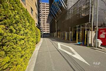 敷地の東側前面道路（北側から）
