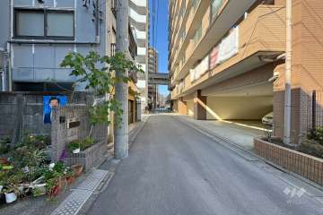 敷地南側の前面道路　