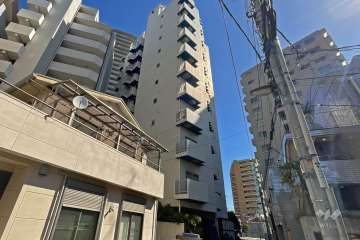 ダイアパレス三ノ輪の外観（南西側から）