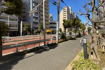 敷地南西側の前面道路