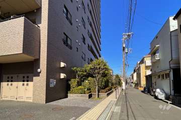 敷地東側の前面道路（南側から）