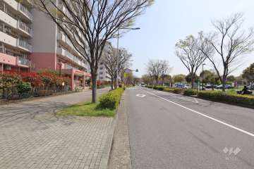 敷地南側の前面道路（西側から）