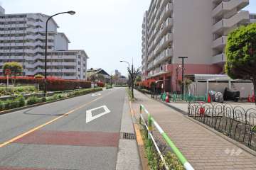 敷地東側の前面道路（北側から）