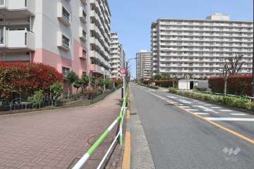 敷地東側の前面道路（南側から）