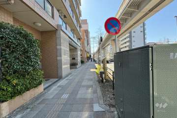 敷地西側の前面道路（北側から）