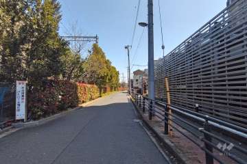 敷地の北側前面道路（西側から）