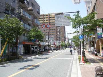 敷地東側の前面道路(南側から)