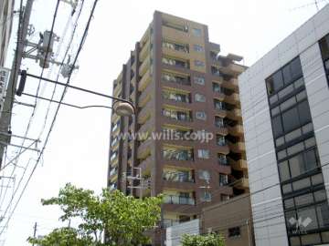 外観(南西向きに撮影)