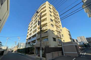 アデニウム田端