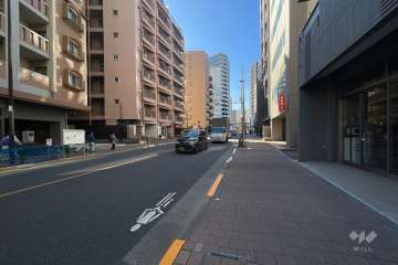 敷地の南側前面道路（西側から）