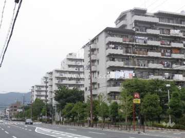 マンションの西側前面道路。1番手前が201棟。