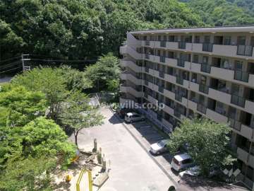 敷地の東側には山林が広がっています。