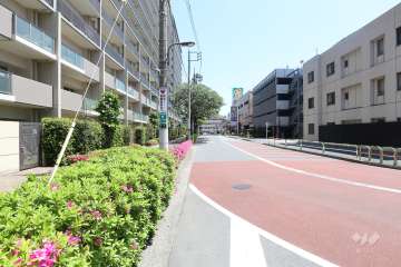 敷地南側の前面道路