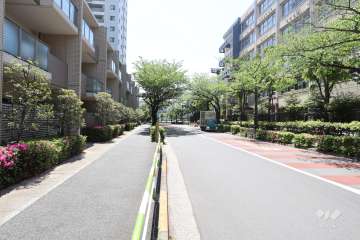 敷地西側の前面道路