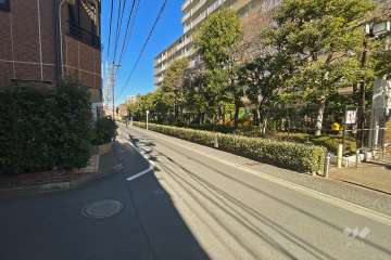 敷地西側の前面道路（南側から）
