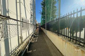 敷地南側の前面道路（西側から）