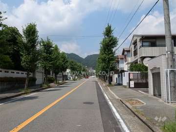 敷地西側の前面道路。街路樹のきれいな通りです。