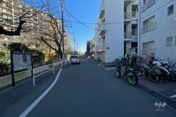 敷地北東側の前面道路（北西側から）