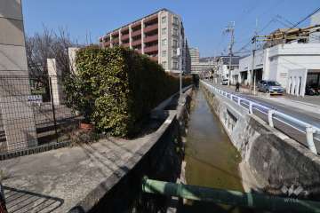 敷地東側の水路