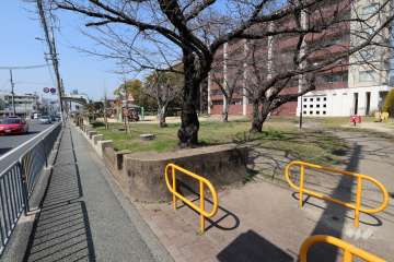 敷地に隣接して『光明公園』があります。