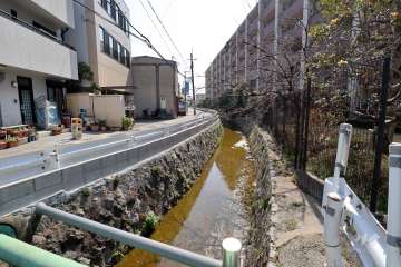 敷地東側の水路