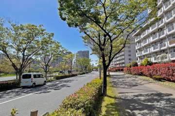 敷地の南側前面道路（東側から）は、けやき通りです。