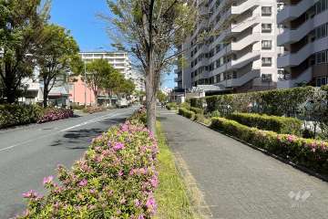 敷地北側の前面道路　