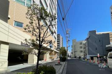 敷地の南側前面道路（西側から）