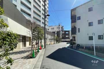 敷地の西側前面道路（北側から）