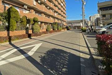敷地南側の前面道路（西側から）
