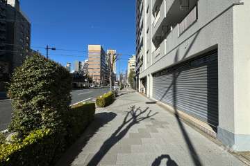 敷地の南西側前面道路（南東側から）