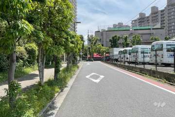 敷地南側の前面道路（西側から）