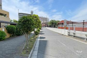 敷地西側の前面道路（北側から）