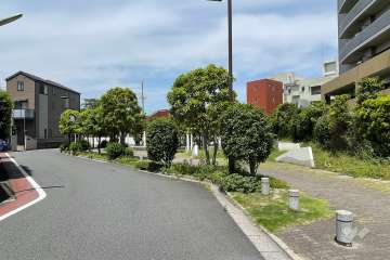 敷地南側の前面道路（東側から）