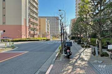 敷地東側の前面道路（北側から）