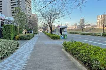 敷地北側は隅田川に面しています。