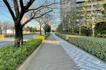 敷地北側の前面道路（西側から）