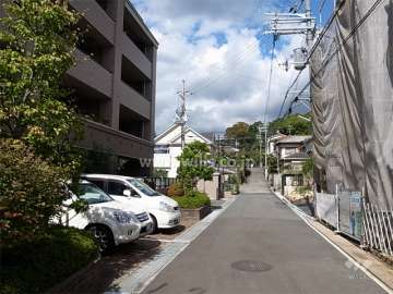 敷地東側の前面道路。突き当たりには五社神社があり、境内の緑がきれいです。