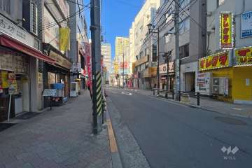 敷地北東側の前面道路（南東側から）