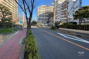 敷地南側の前面道路　