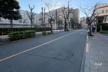 敷地南側の前面道路