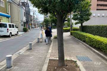 敷地の東側前面道路（北側から）