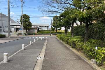 敷地の西側前面道路（南側から）