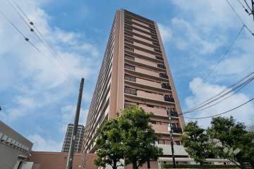コスモステージ荒川遊園ノースリッジの外観（南東側から）