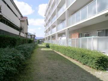 敷地の南部分の緑地スペース