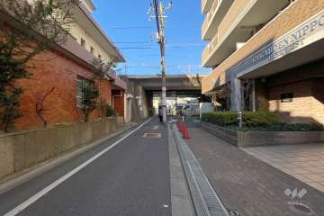 敷地東側の前面道路　
