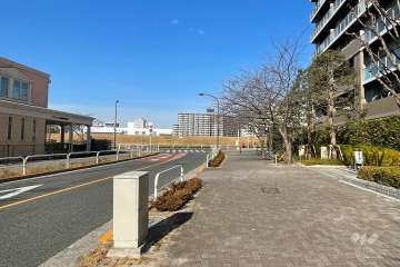 敷地西側の前面道路　
